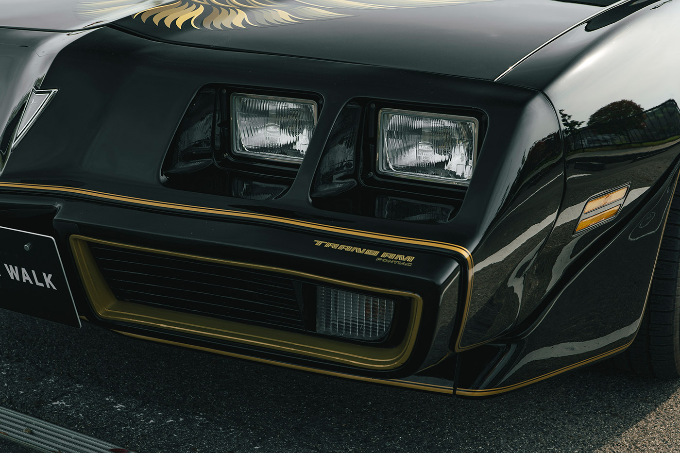 Pontiac Firebird11
