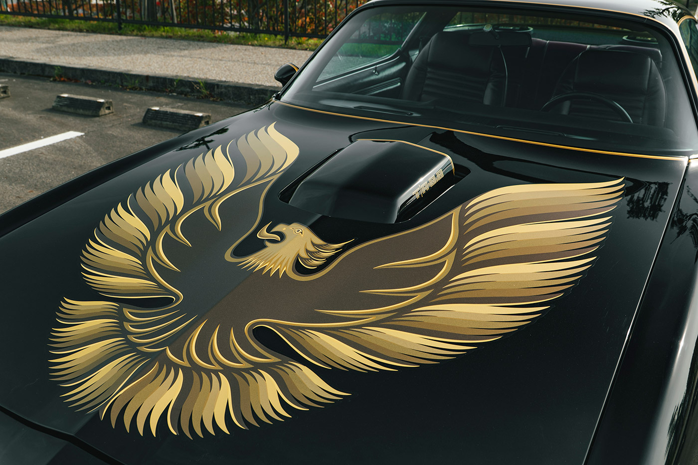 Pontiac Firebird12