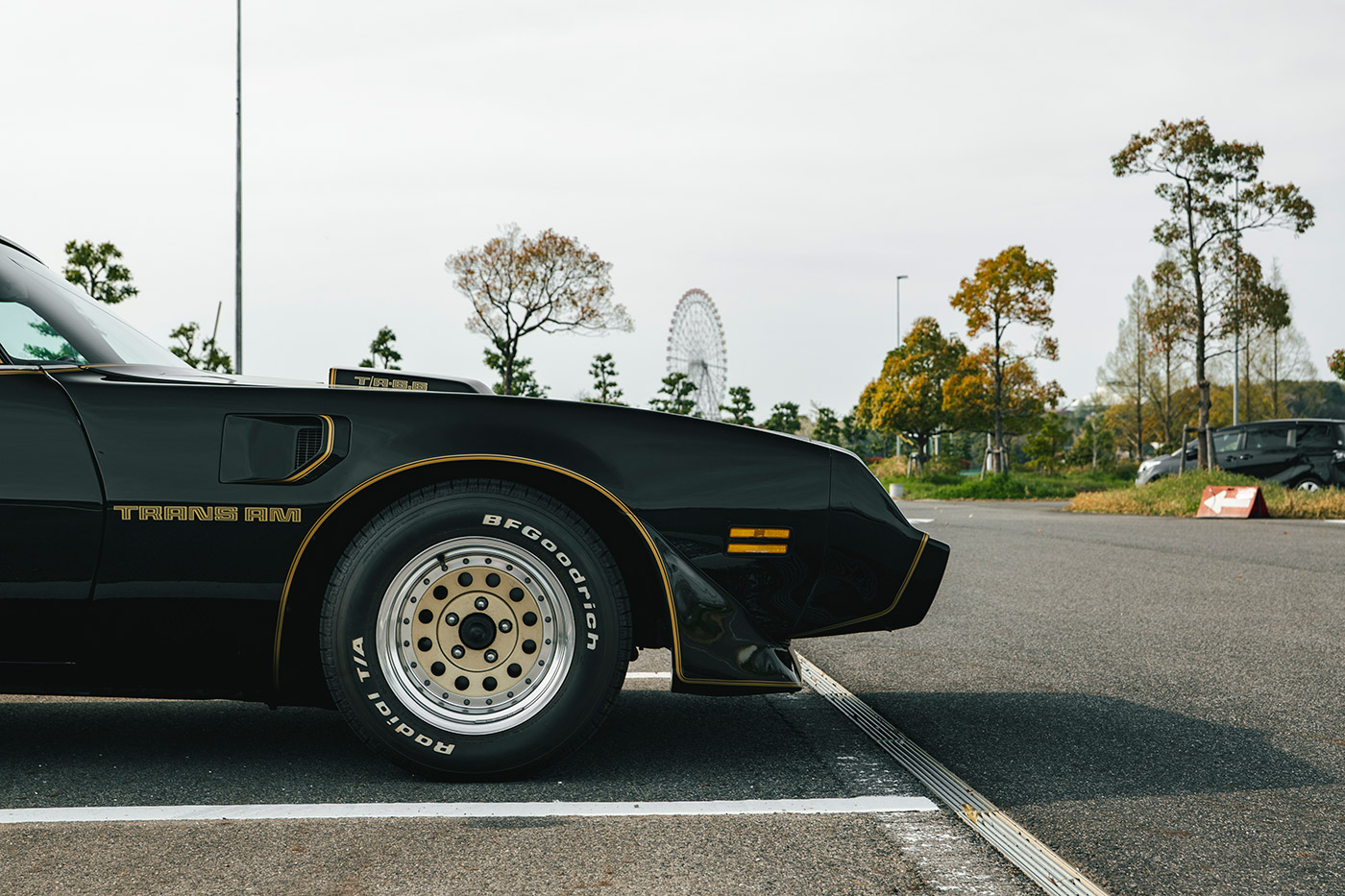 Pontiac Firebird14
