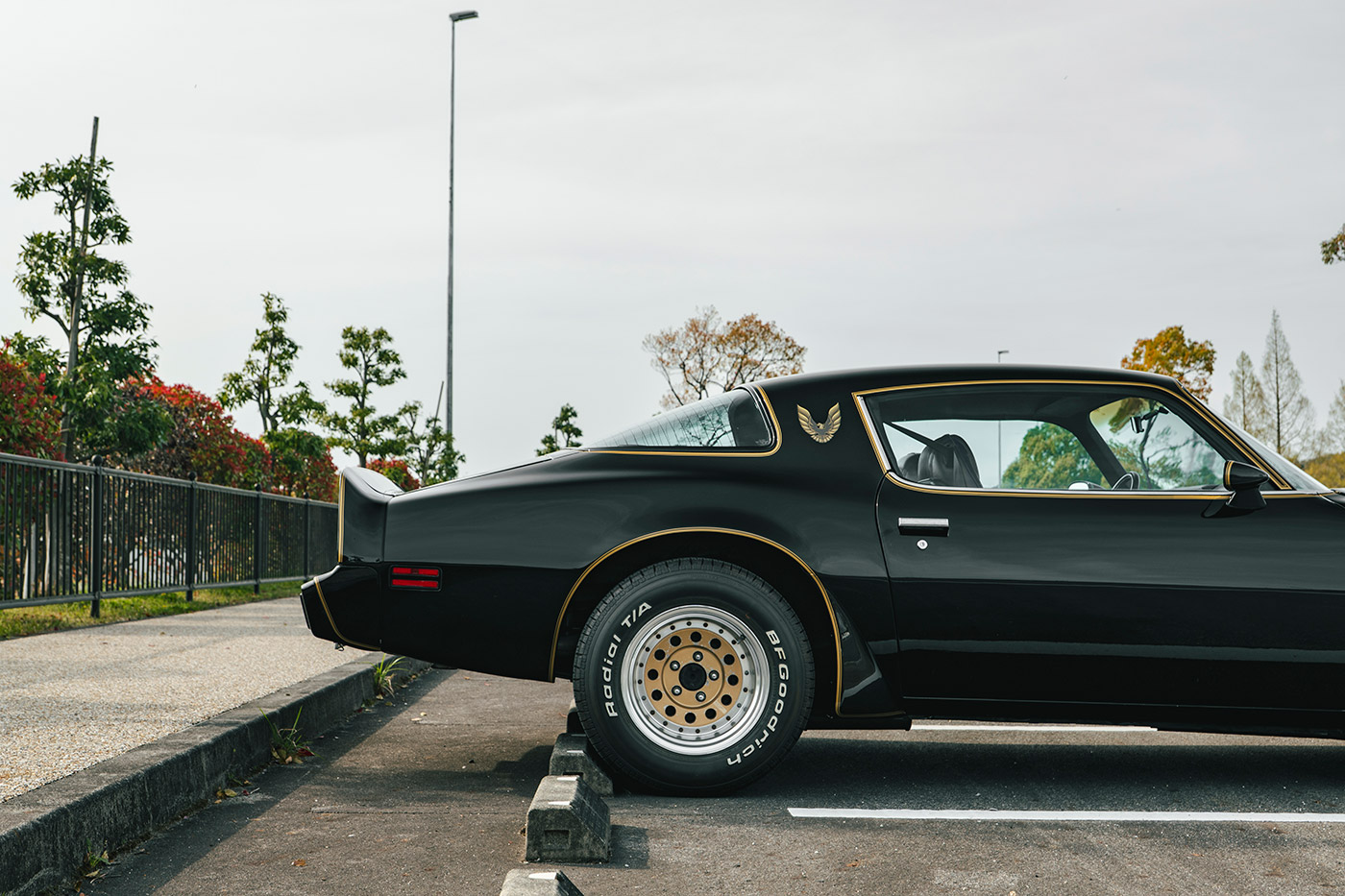Pontiac Firebird15