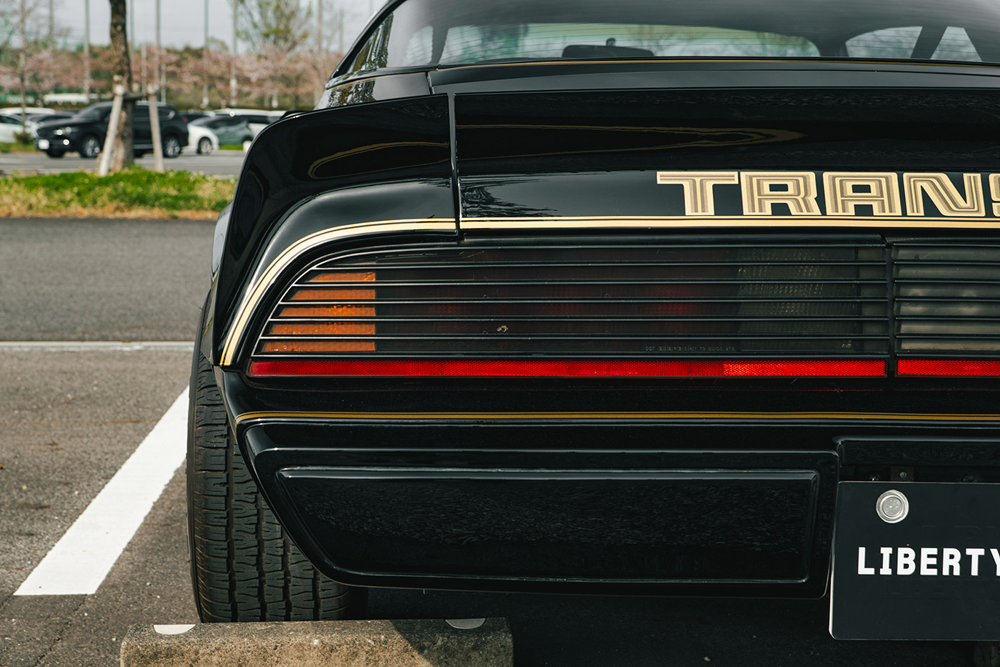 Pontiac Firebird19