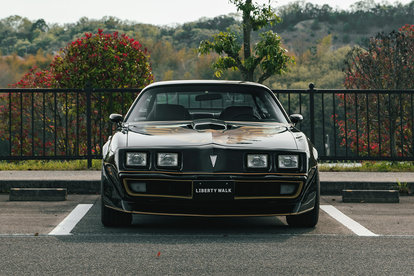 Pontiac Firebird2