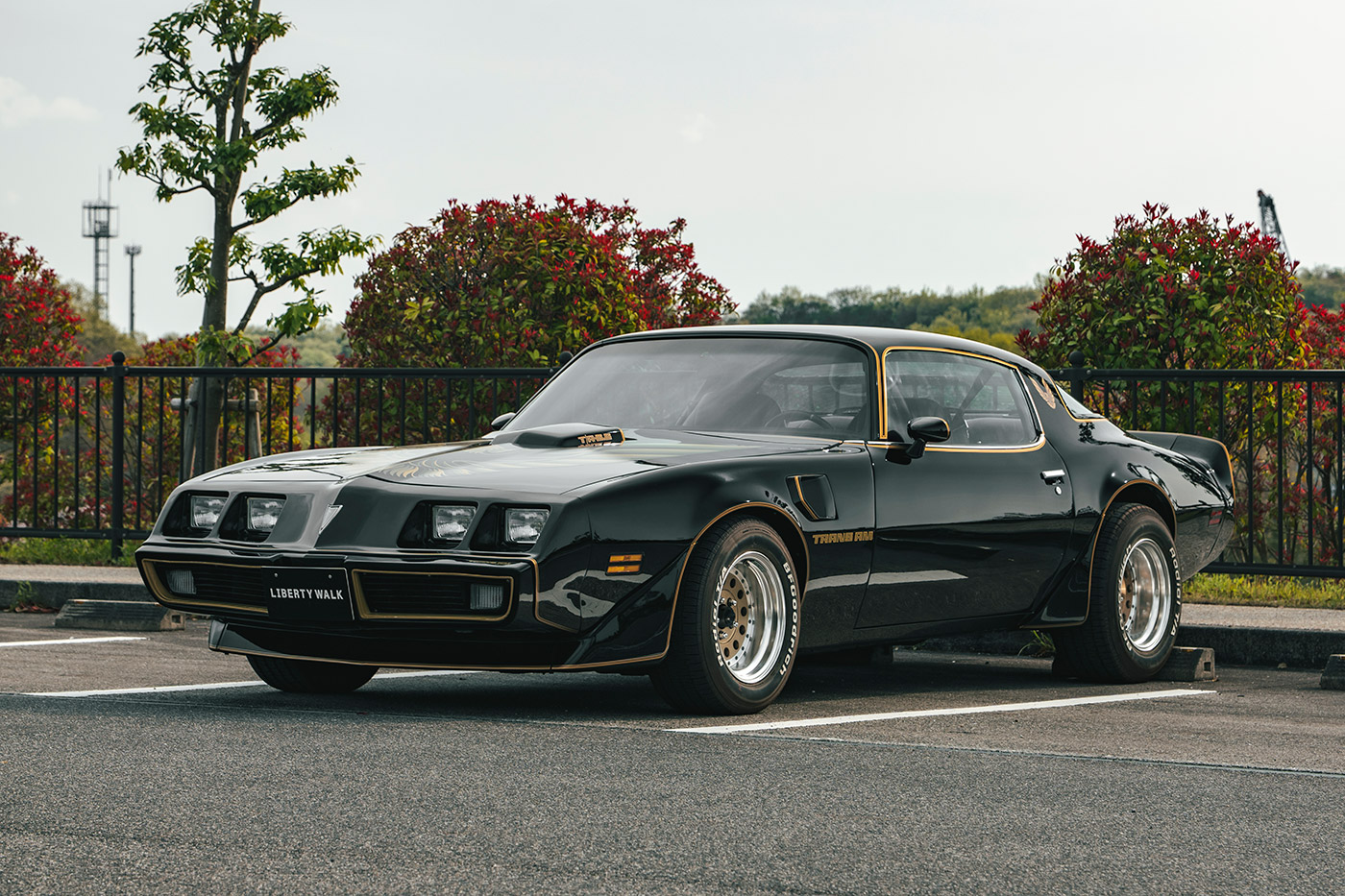 Pontiac Firebird3