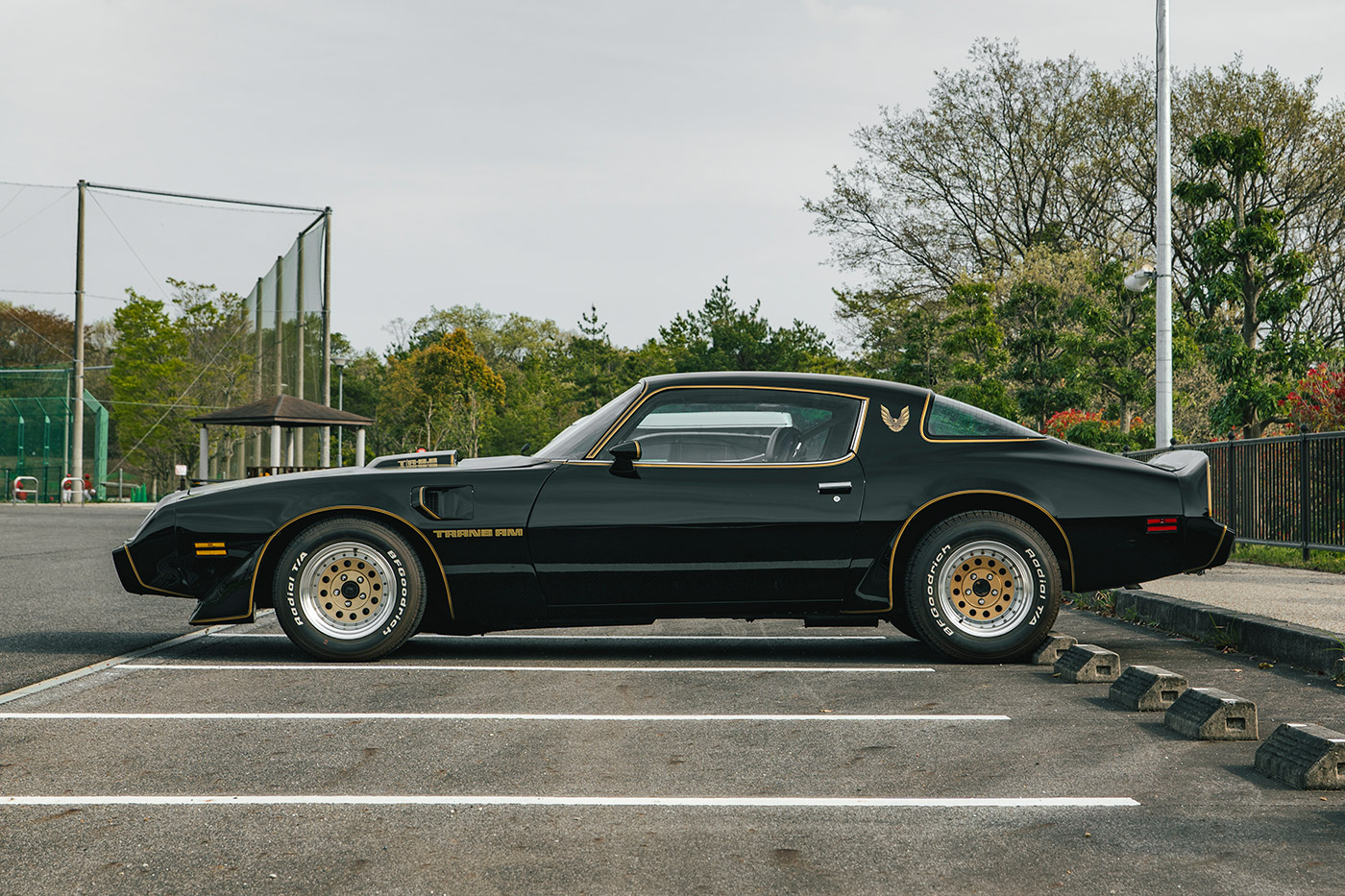 Pontiac Firebird4