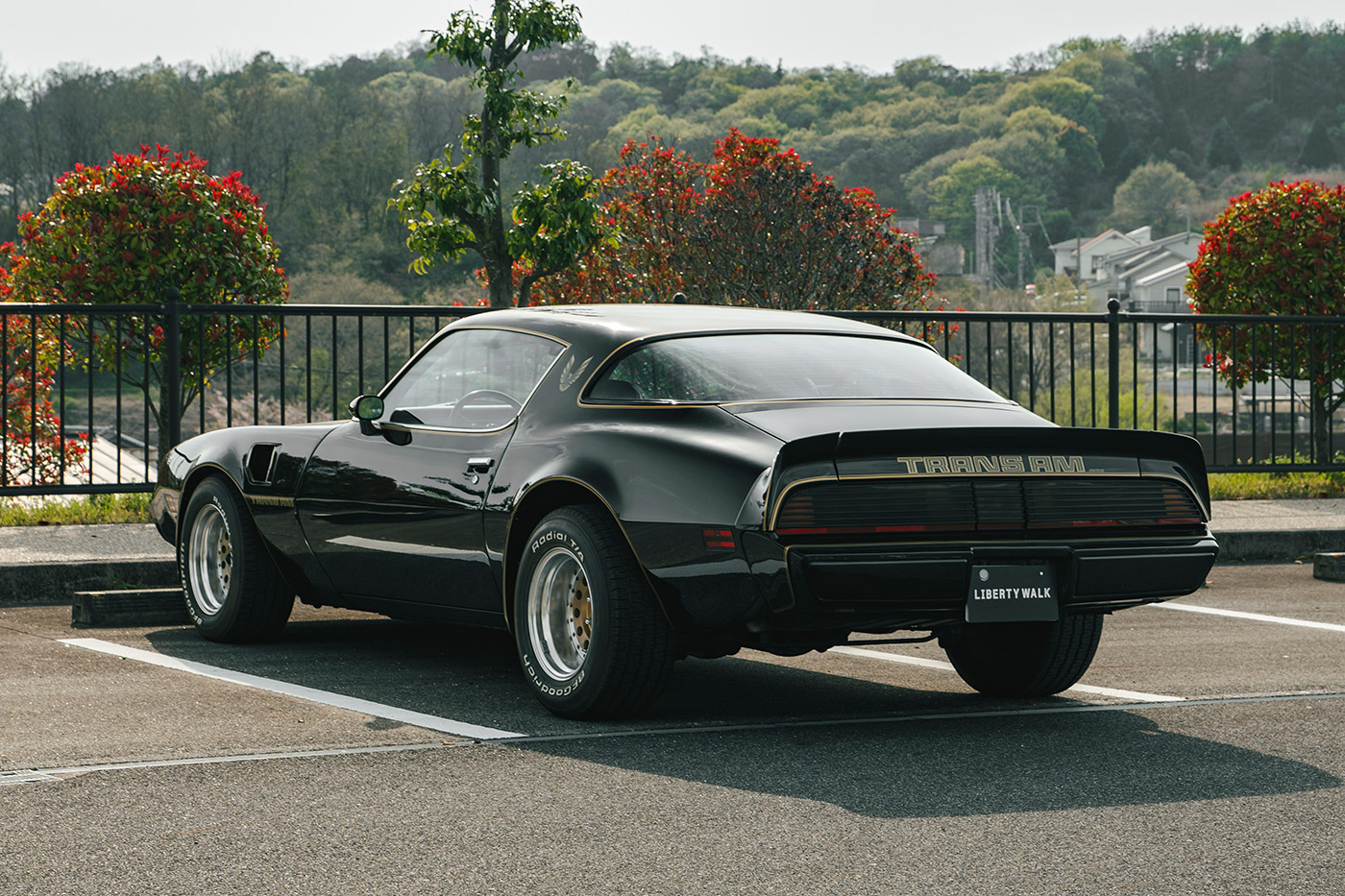 Pontiac Firebird5