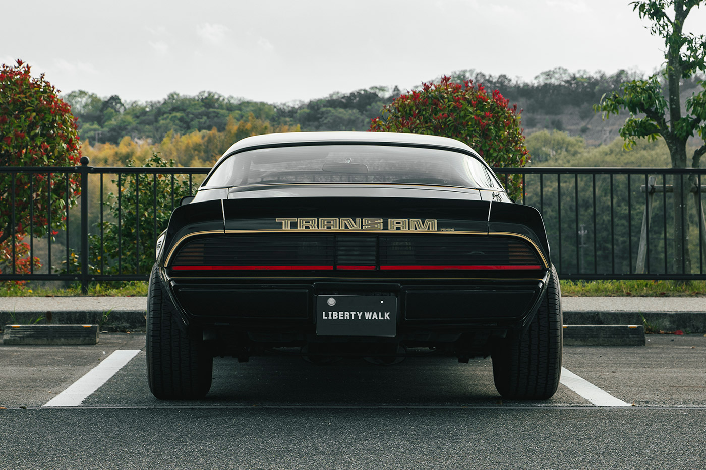 Pontiac Firebird6