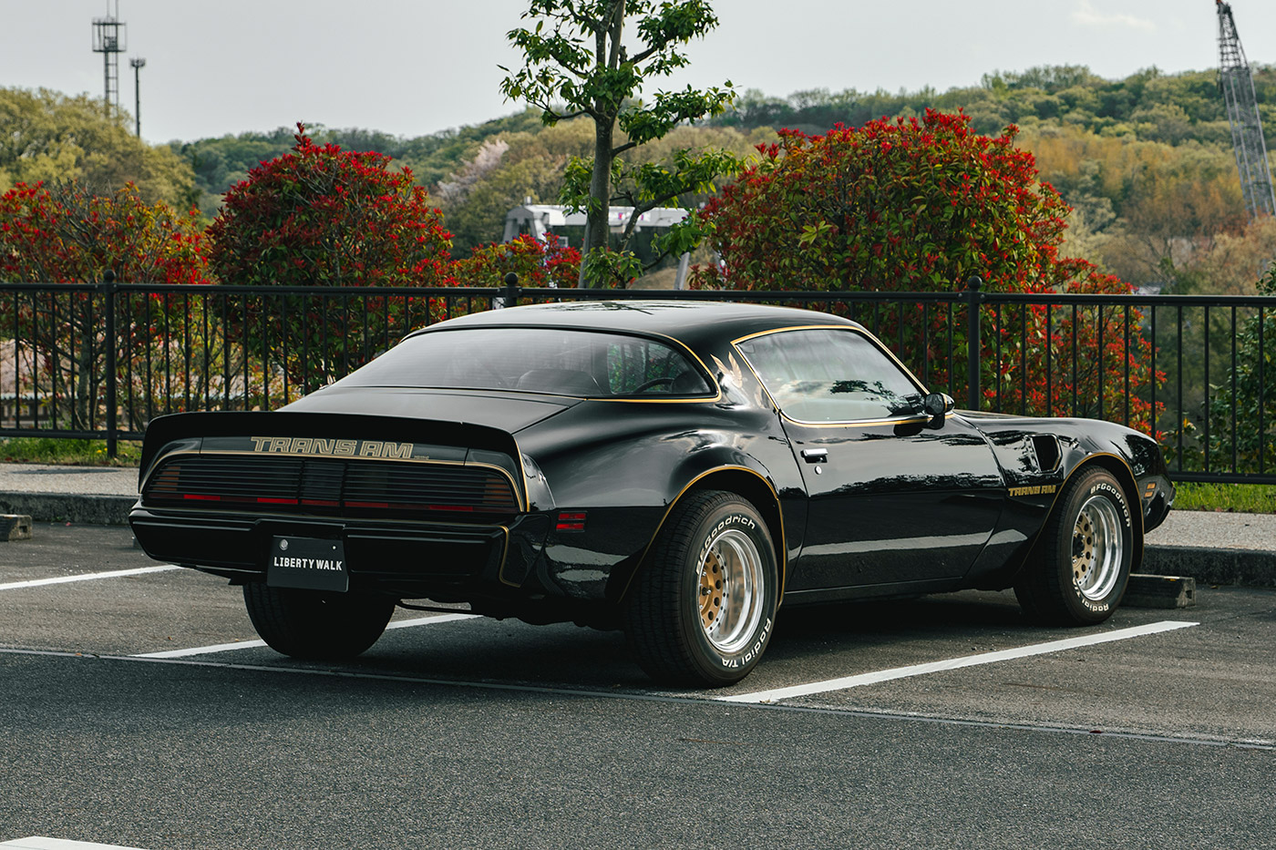 Pontiac Firebird7