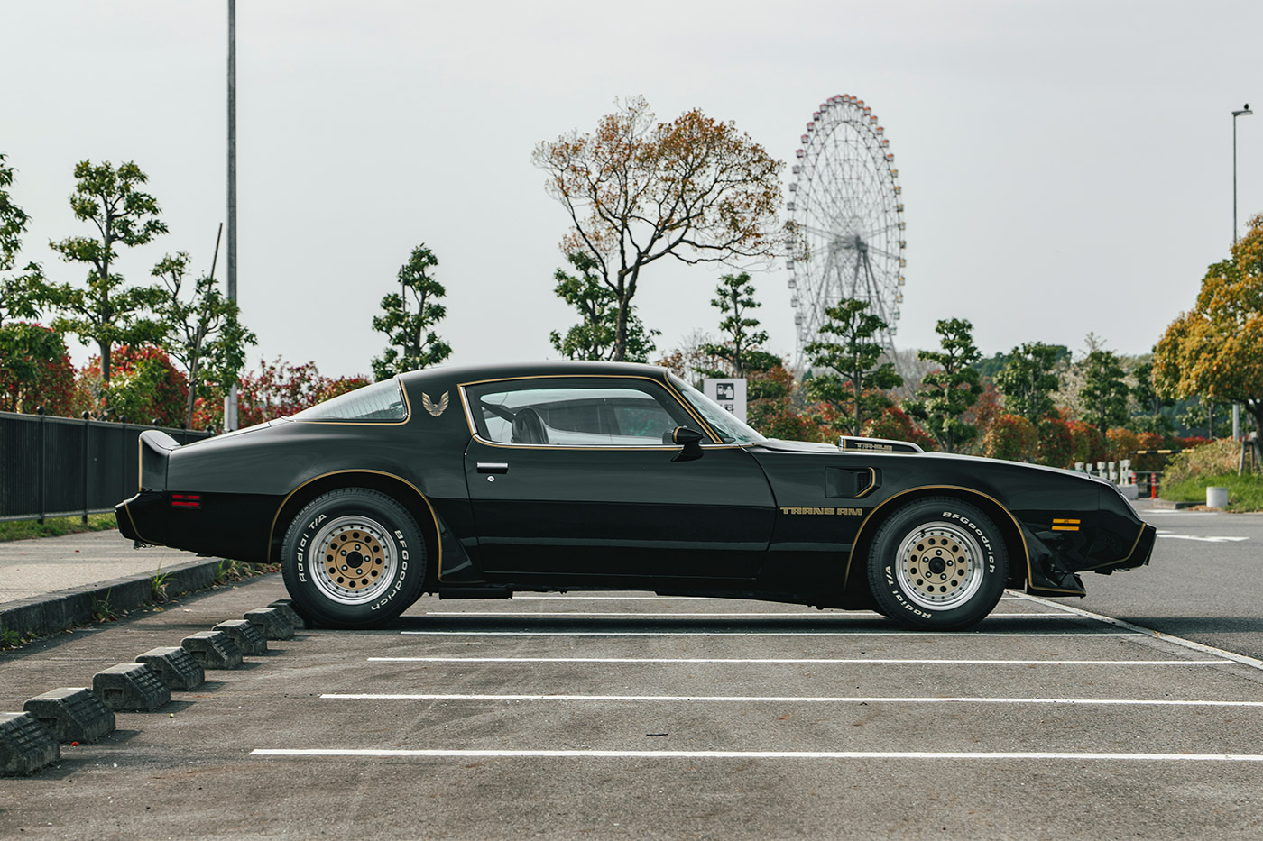 Pontiac Firebird8