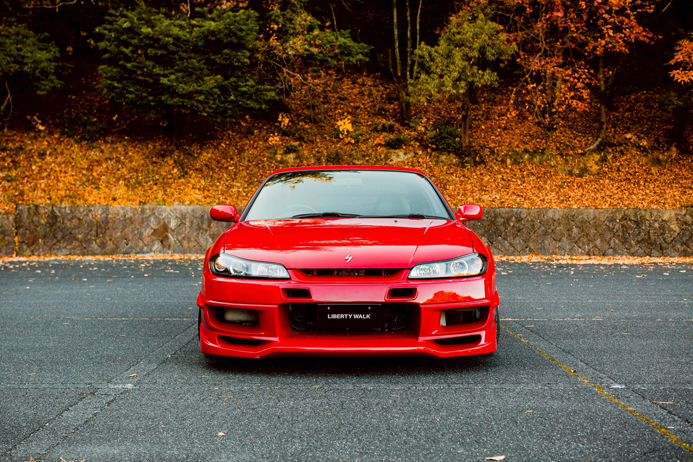 NISSAN-Silvia-S1500015