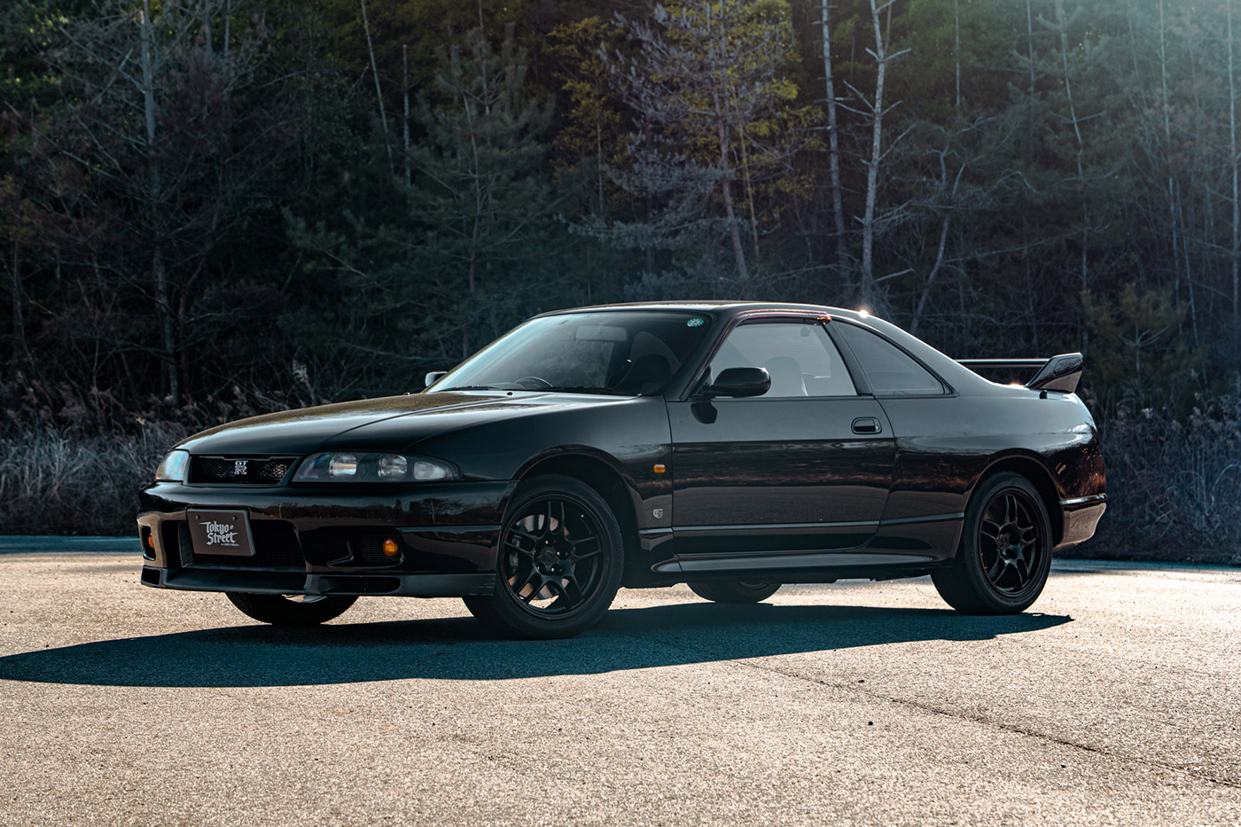Nissan-Skyline-GTR3300059