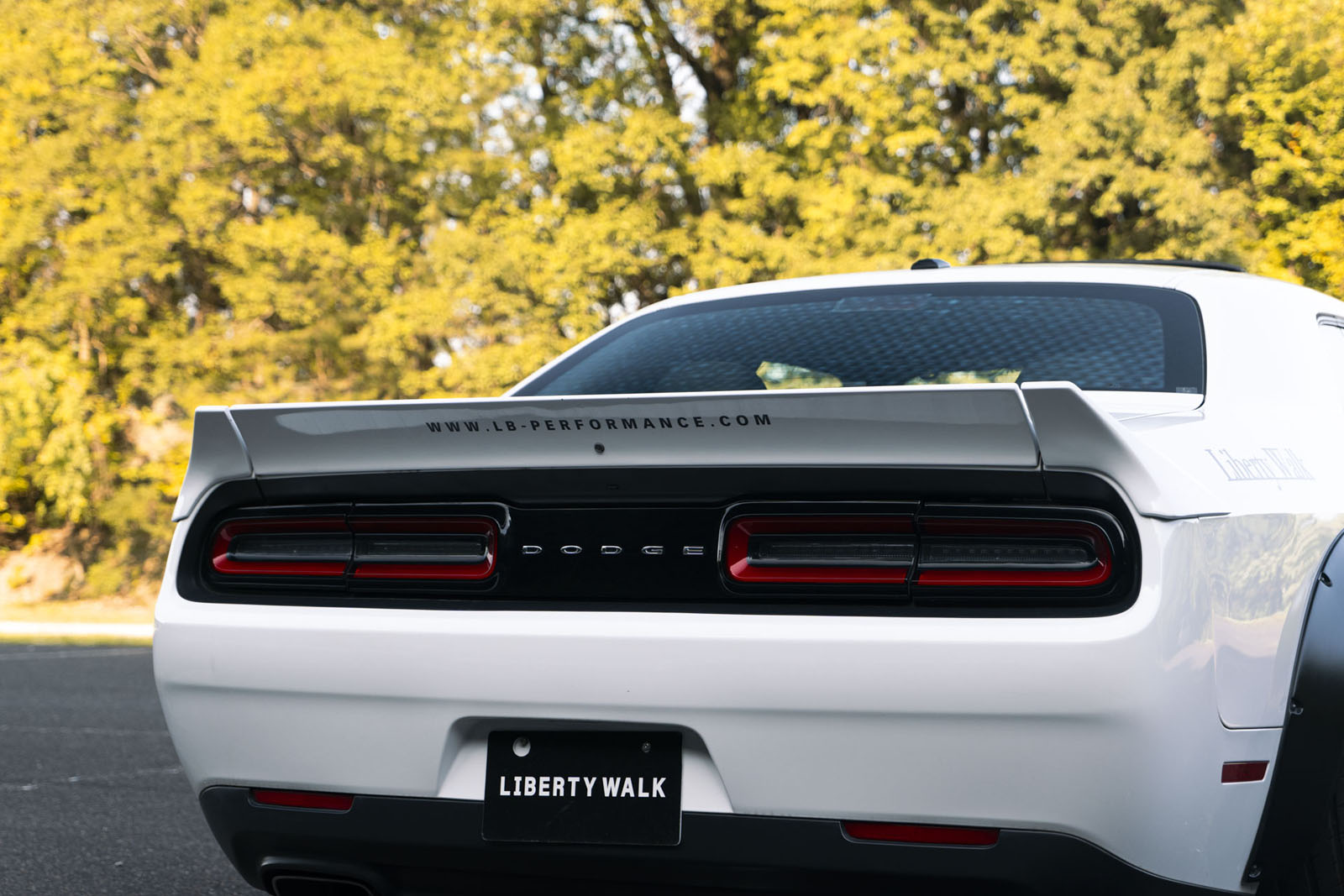 LB-WORKS DODGE challenger00045